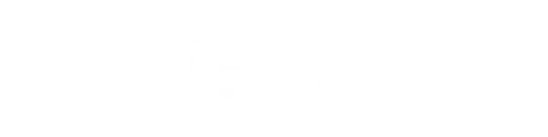 NovaPlex logo