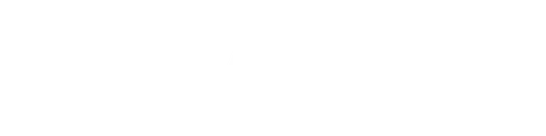 NovaPlex logo