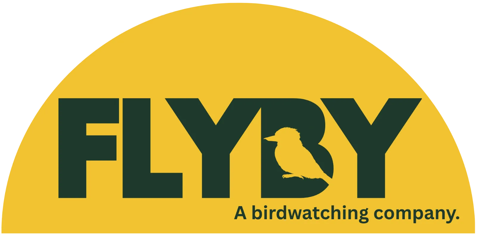 My Store logo
